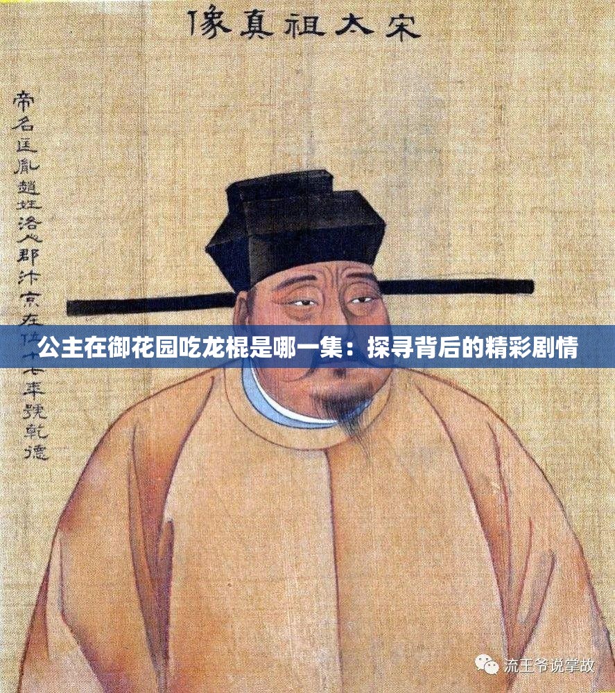 公主在御花园吃龙棍是哪一集：探寻背后的精彩剧情