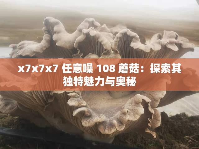 x7x7x7 任意噪 108 蘑菇：探索其独特魅力与奥秘