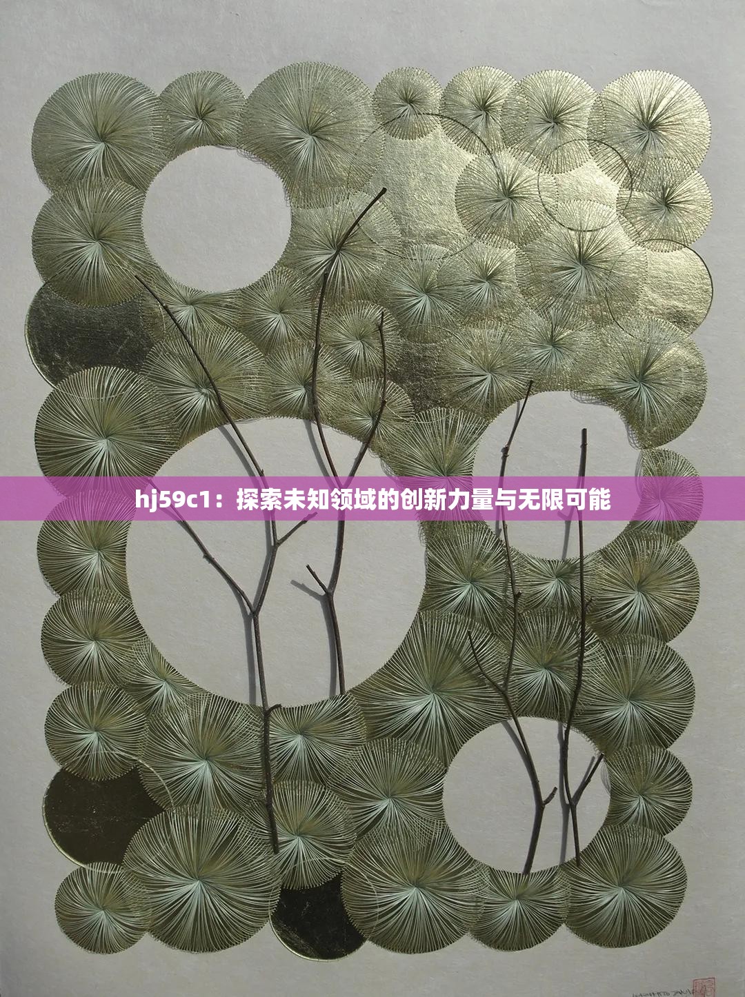 hj59c1：探索未知领域的创新力量与无限可能