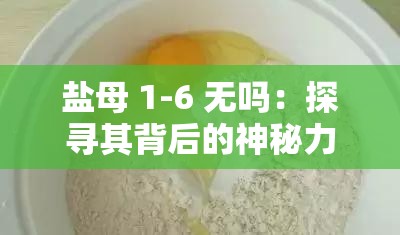 盐母 1-6 无吗：探寻其背后的神秘力量与未知世界