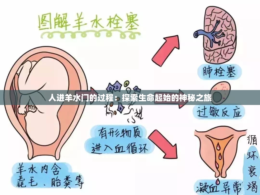 人进羊水门的过程:探索生命起始的神秘之旅 人进羊水门的过程:探索生命起始的神秘之旅