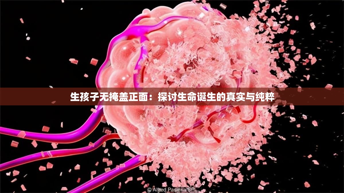 生孩子无掩盖正面：探讨生命诞生的真实与纯粹