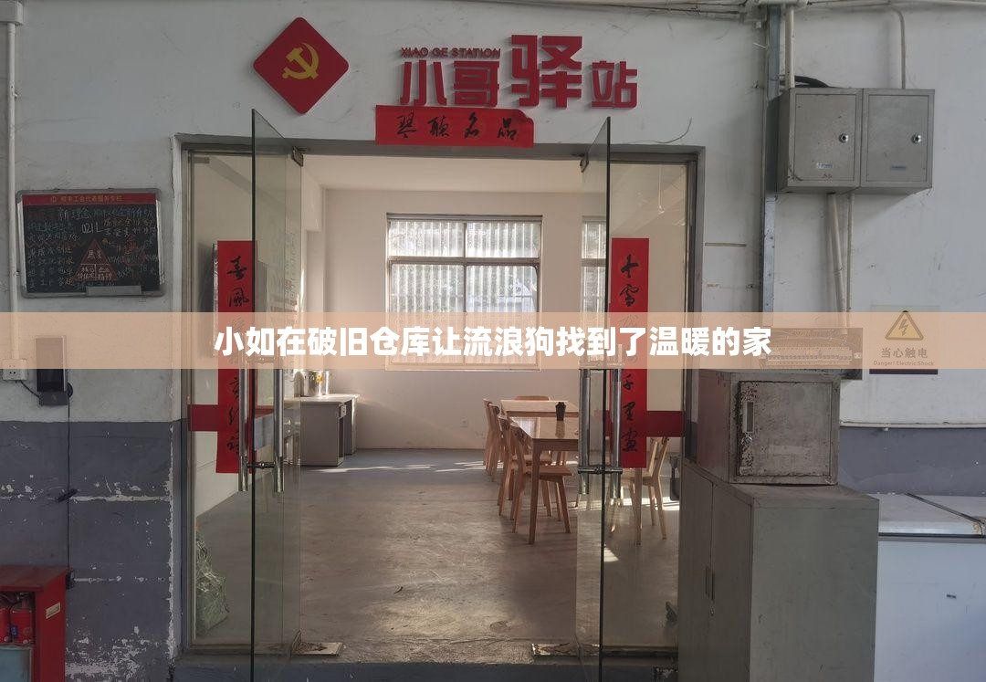 小如在破旧仓库让流浪狗找到了温暖的家 小如在破旧仓库让流浪狗找到了温暖的家