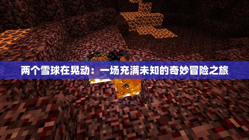 两个雪球在晃动:一场充满未知的奇妙冒险之旅 两个雪球在晃动:一场充满未知的奇妙冒险之旅