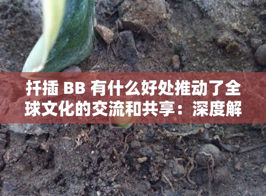 扦插 BB 有什么好处推动了全球文化的交流和共享:深度解析其重要意义和价值 扦插 BB 有什么好处推动了全球文化的交流和共享:深度解析其重要意义和价值