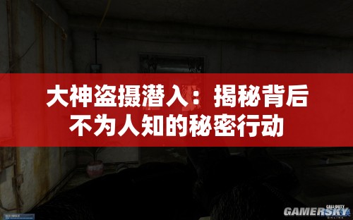 大神盗摄潜入：揭秘背后不为人知的秘密行动
