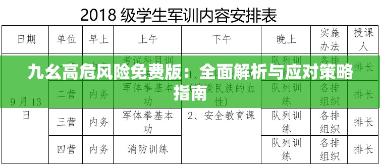 九幺高危风险免费版：全面解析与应对策略指南