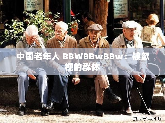中国老年人 BBWBBwBBw：被忽视的群体