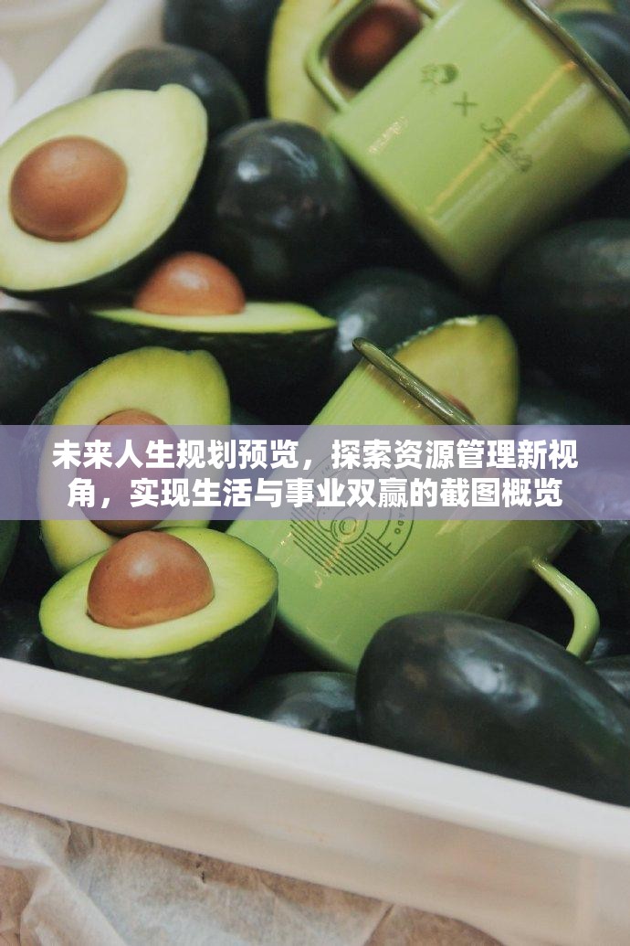 未来人生规划预览,探索资源管理新视角,实现生活与事业双赢的截图概览 未来人生规划预览,探索资源管理新视角,实现生活与事业双赢的截图概览