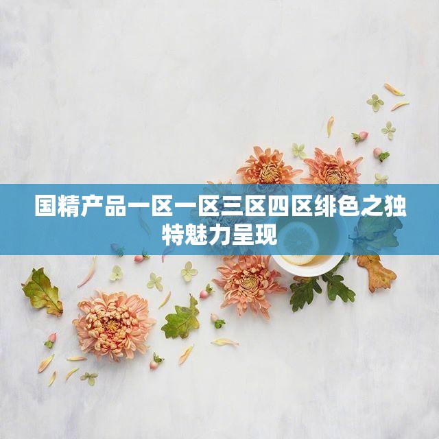 国精产品一区一区三区四区绯色之独特魅力呈现