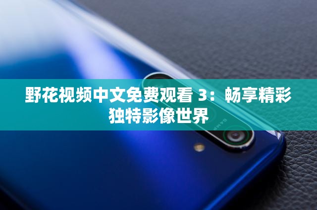 野花视频中文免费观看 3：畅享精彩独特影像世界