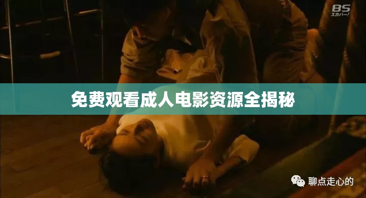 免费观看成人电影资源全揭秘