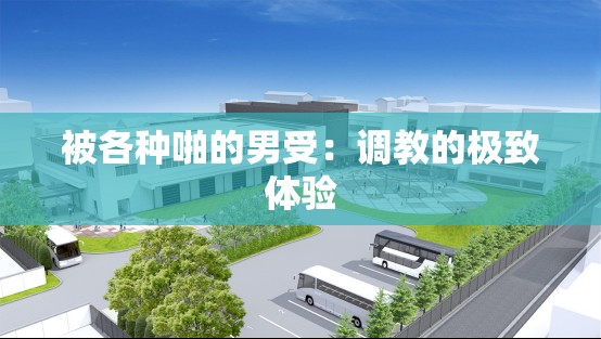 被各种啪的男受：调教的极致体验
