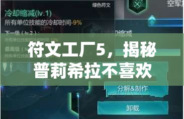 符文工厂5，揭秘普莉希拉不喜欢的物品及其高效管理艺术策略