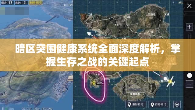 暗区突围健康系统全面深度解析，掌握生存之战的关键起点