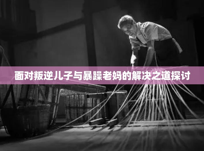面对叛逆儿子与暴躁老妈的解决之道探讨