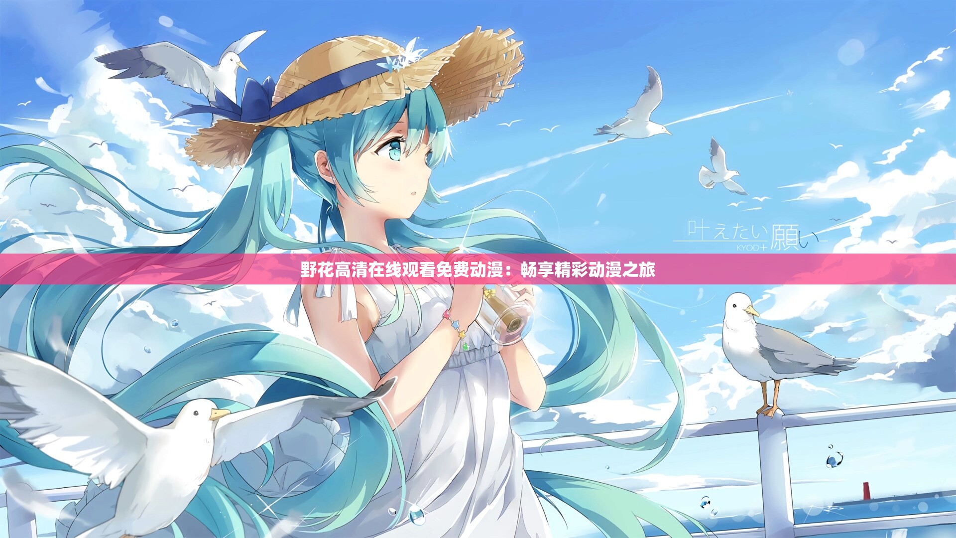 野花高清在线观看免费动漫：畅享精彩动漫之旅