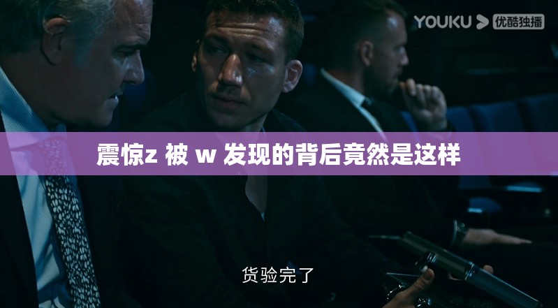 震惊z 被 w 发现的背后竟然是这样 震惊z 被 w 发现的背后竟然是这样