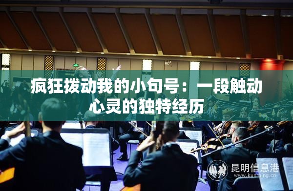 疯狂拨动我的小句号：一段触动心灵的独特经历