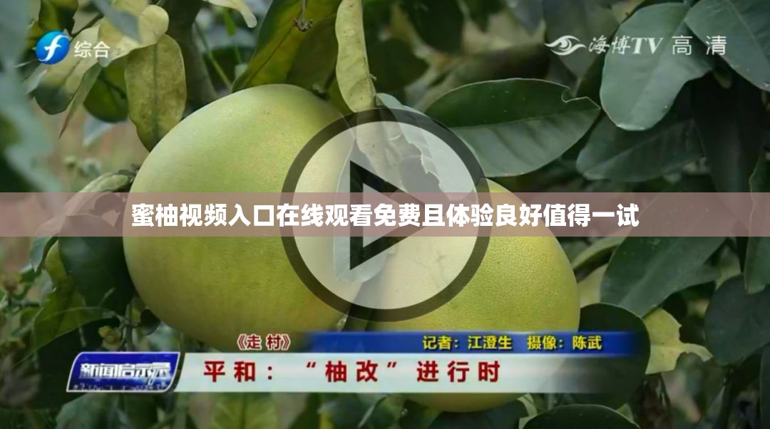 蜜柚视频入口在线观看免费且体验良好值得一试