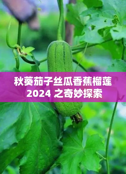秋葵茄子丝瓜香蕉榴莲 2024 之奇妙探索