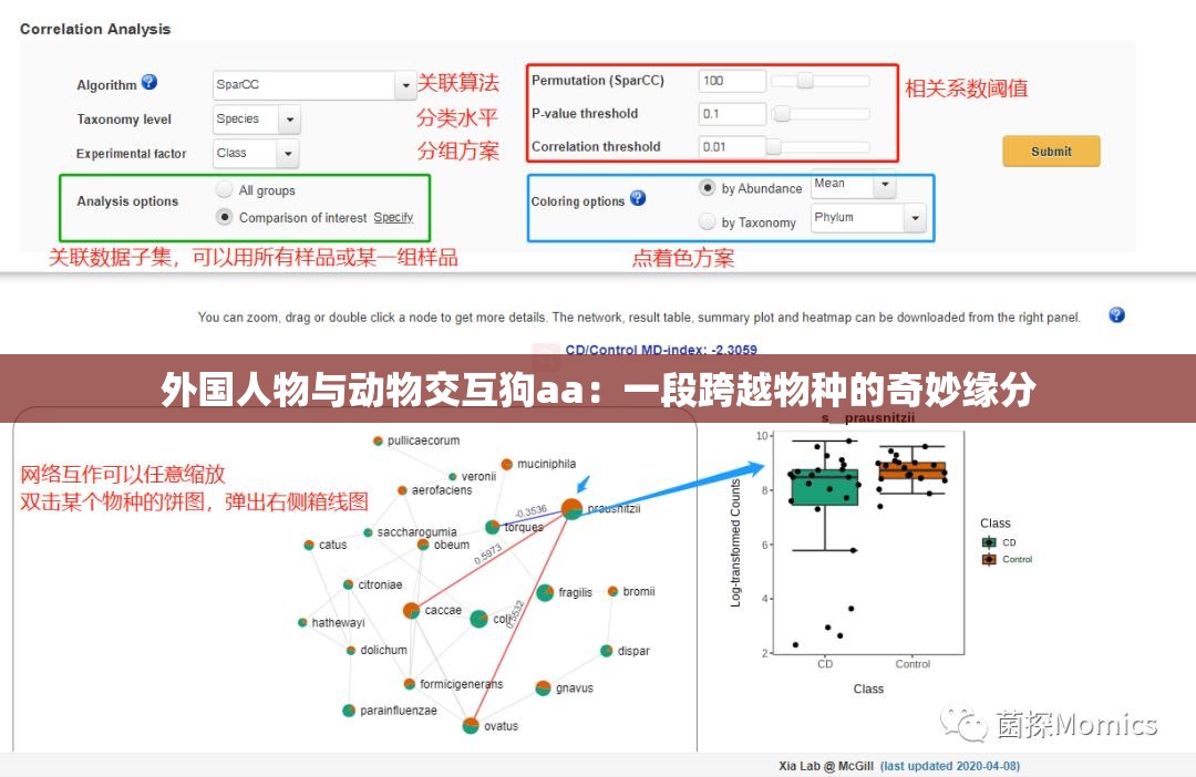 外国人物与动物交互狗aa：一段跨越物种的奇妙缘分