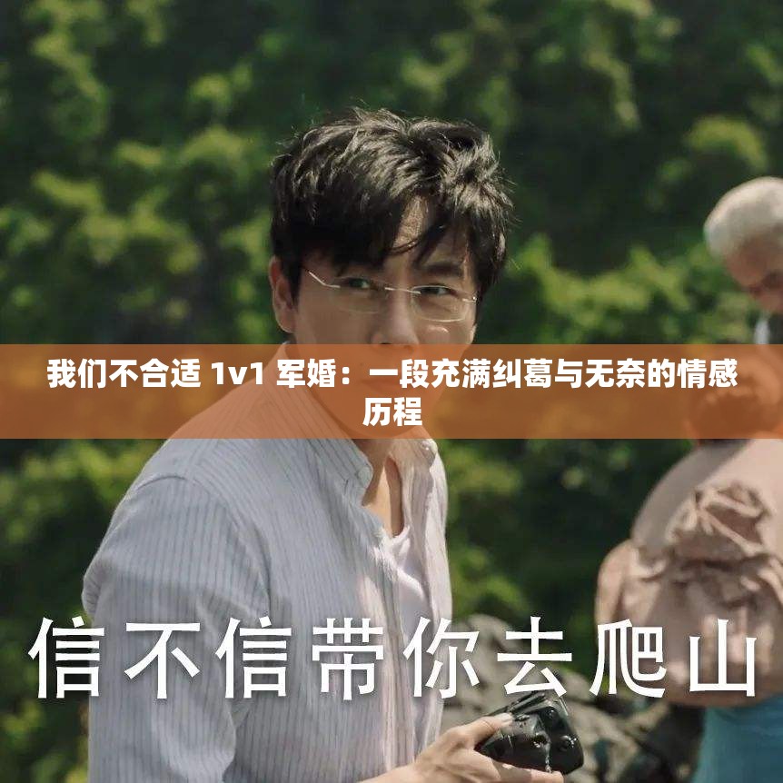我们不合适 1v1 军婚：一段充满纠葛与无奈的情感历程