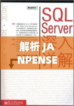 解析 JANPENSEVISA：一个关于签证的深入研究