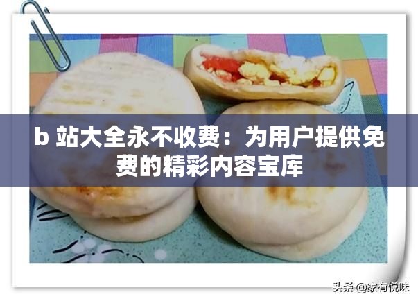 b 站大全永不收费：为用户提供免费的精彩内容宝库