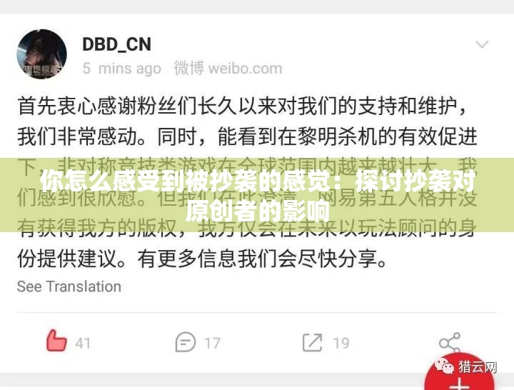 你怎么感受到被抄袭的感觉：探讨抄袭对原创者的影响