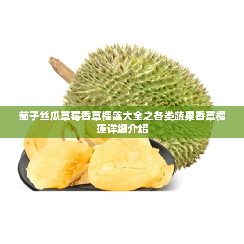 茄子丝瓜草莓香草榴莲大全之各类蔬果香草榴莲详细介绍