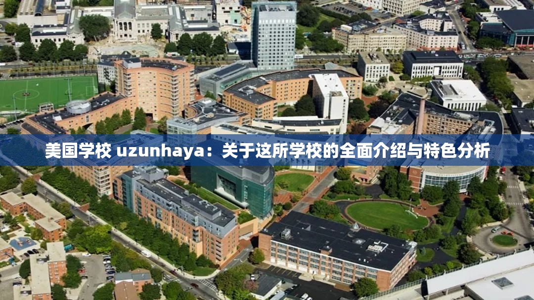 美国学校 uzunhaya：关于这所学校的全面介绍与特色分析
