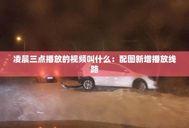 凌晨三点播放的视频叫什么：配图新增播放线路