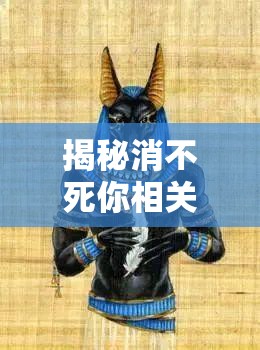 揭秘消不死你相关截图预览，掌握资源管理的高效艺术与技巧