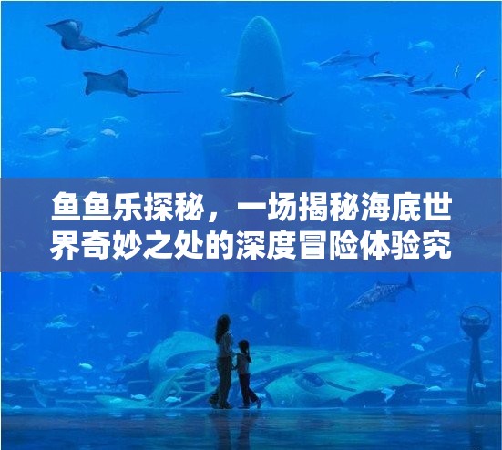 鱼鱼乐探秘，一场揭秘海底世界奇妙之处的深度冒险体验究竟有何魅力？