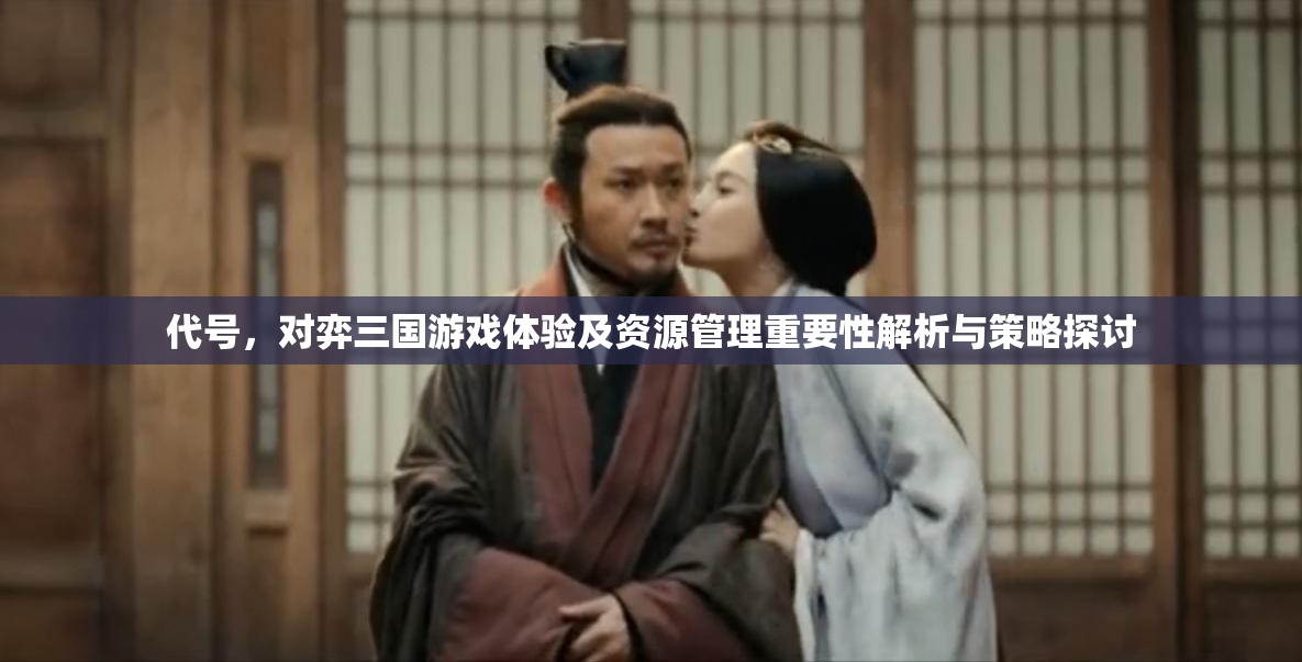 代号，对弈三国游戏体验及资源管理重要性解析与策略探讨