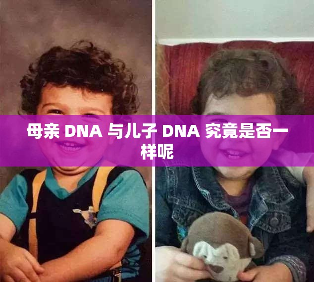 母亲 DNA 与儿子 DNA 究竟是否一样呢