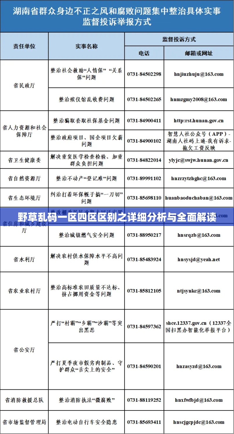 野草乱码一区四区区别之详细分析与全面解读