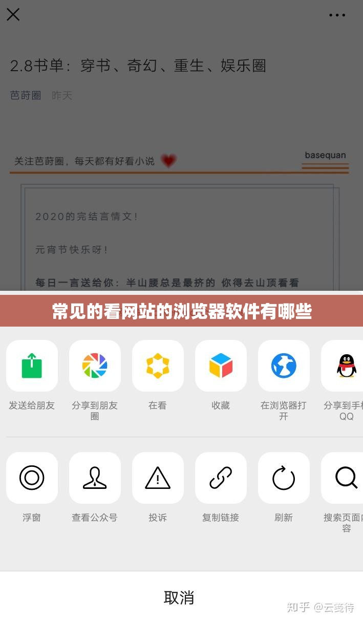 常见的看网站的浏览器软件有哪些