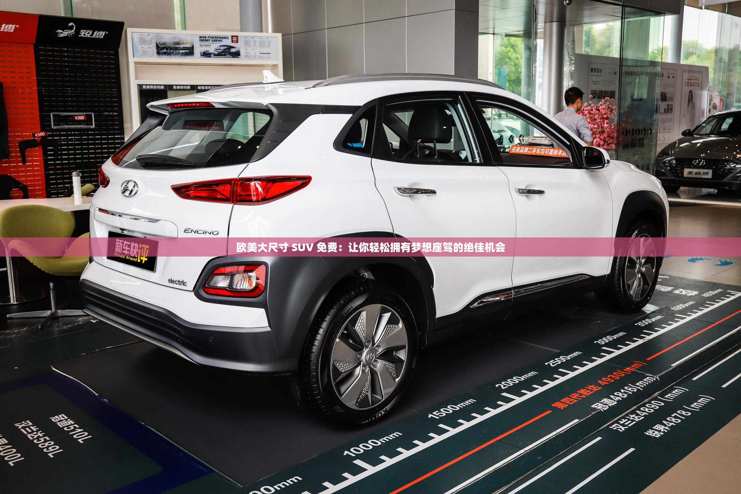 欧美大尺寸 SUV 免费：让你轻松拥有梦想座驾的绝佳机会