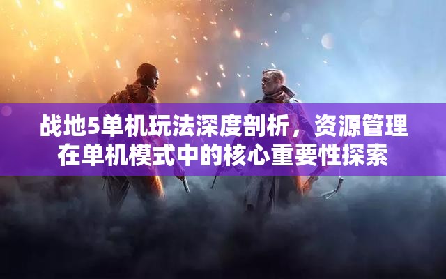 战地5单机玩法深度剖析，资源管理在单机模式中的核心重要性探索