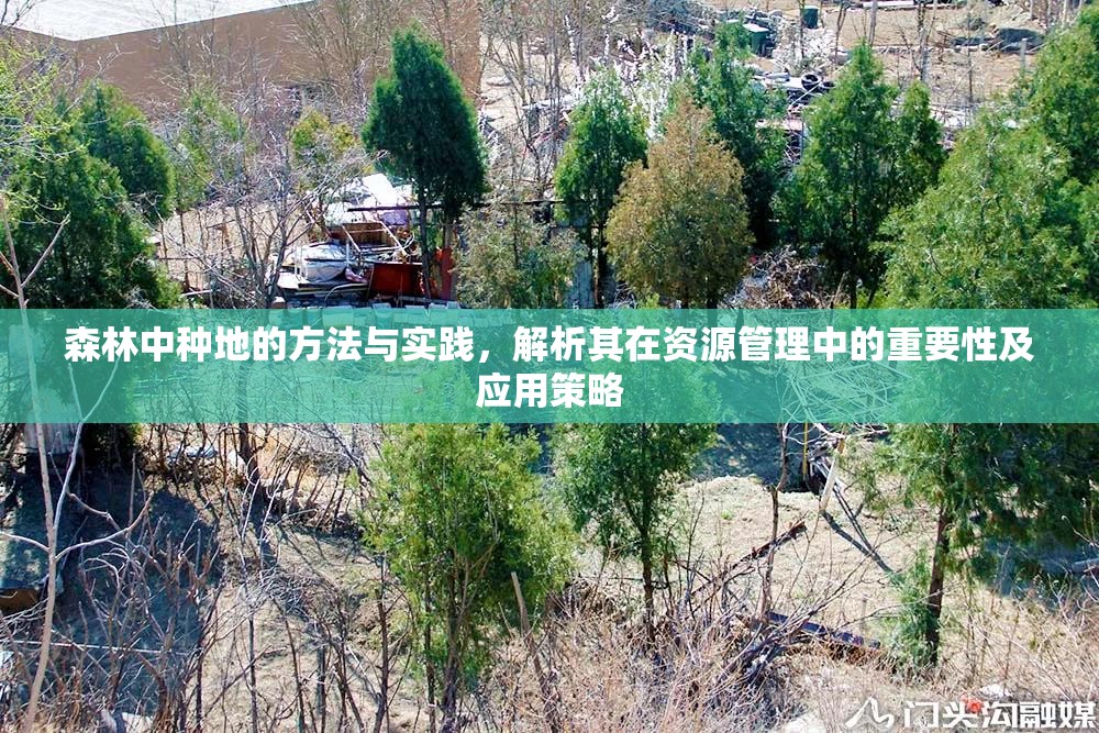 森林中种地的方法与实践，解析其在资源管理中的重要性及应用策略