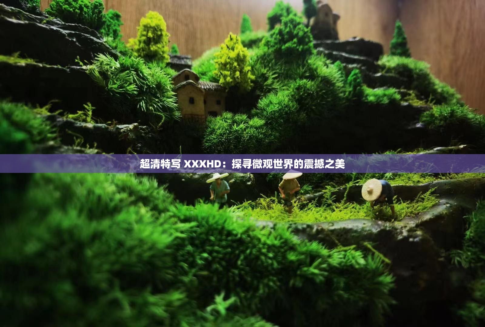 超清特写 XXXHD：探寻微观世界的震撼之美