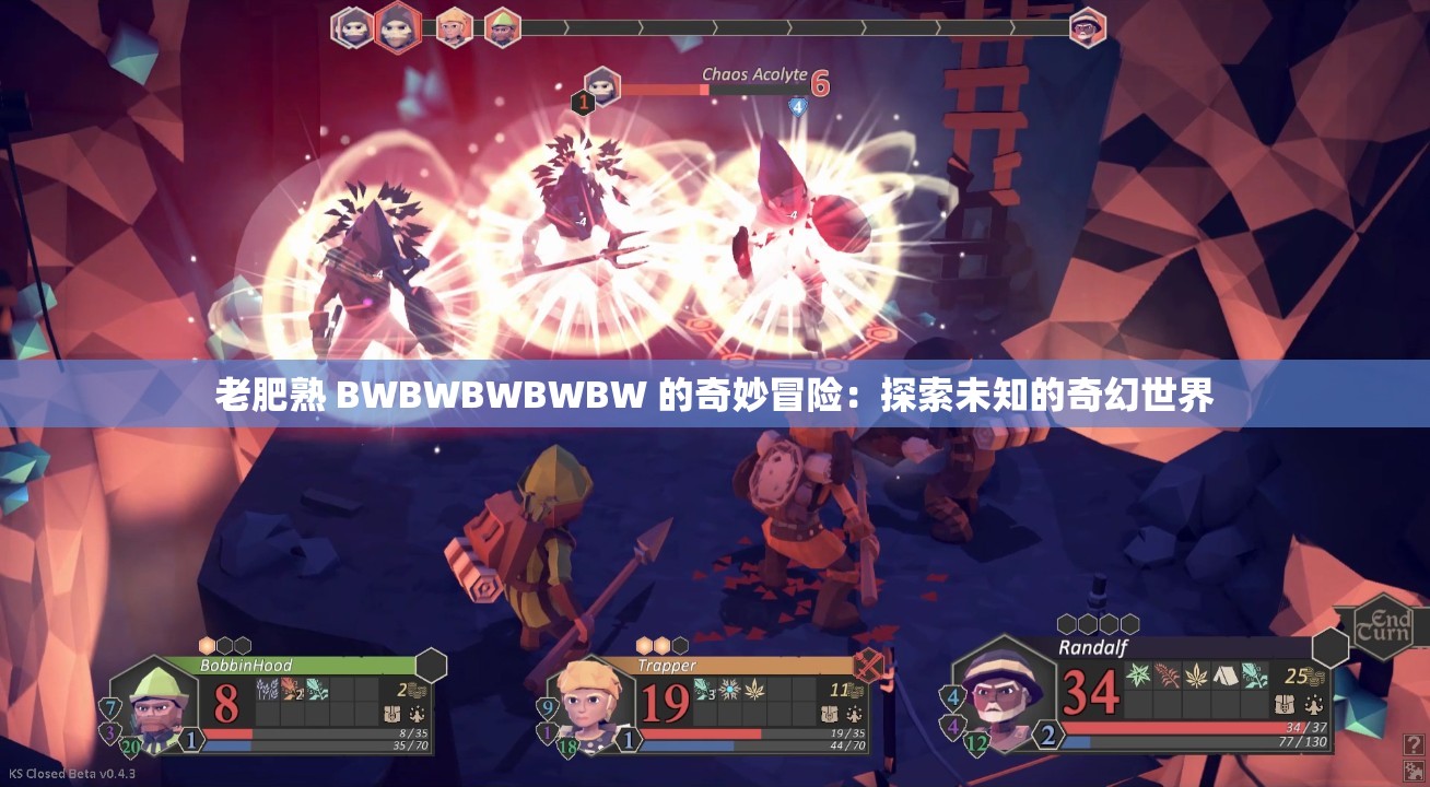 老肥熟 BWBWBWBWBW 的奇妙冒险：探索未知的奇幻世界
