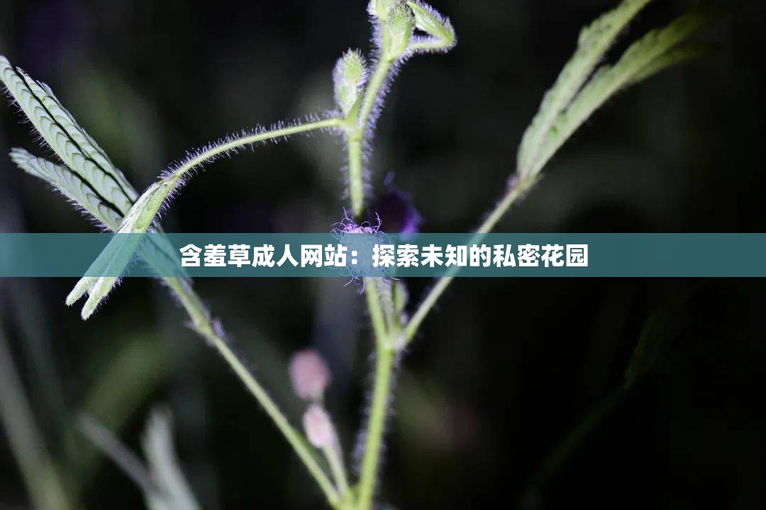 含羞草成人网站：探索未知的私密花园