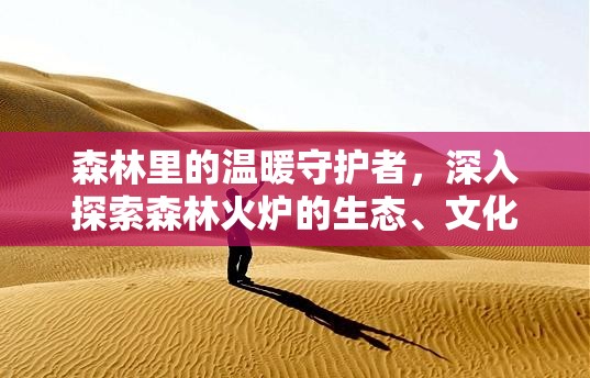 森林里的温暖守护者，深入探索森林火炉的生态、文化与情感多重魅力
