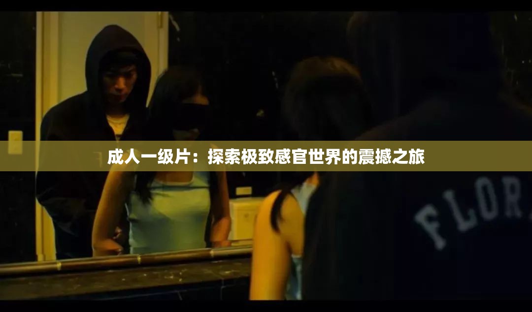 成人一级片：探索极致感官世界的震撼之旅