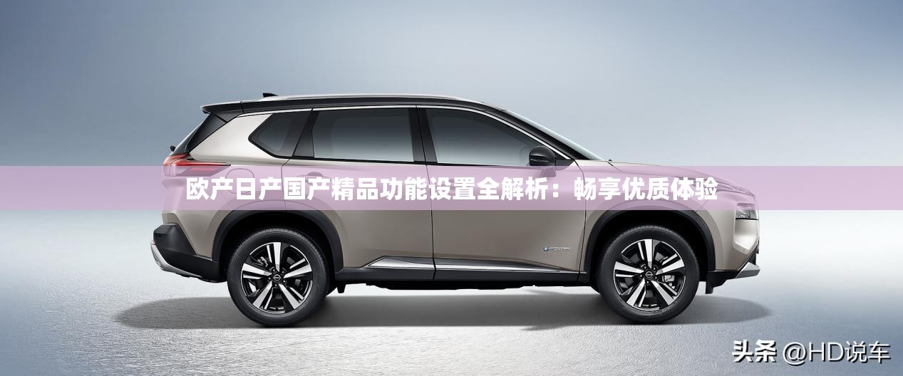 欧产日产国产精品功能设置全解析：畅享优质体验