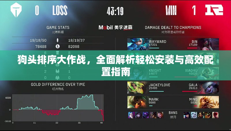 狗头排序大作战，全面解析轻松安装与高效配置指南