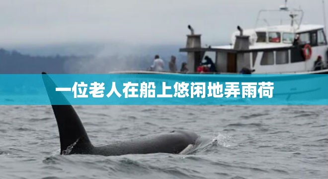 一位老人在船上悠闲地弄雨荷